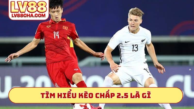 Tìm hiểu kèo chấp 2.5 là gì